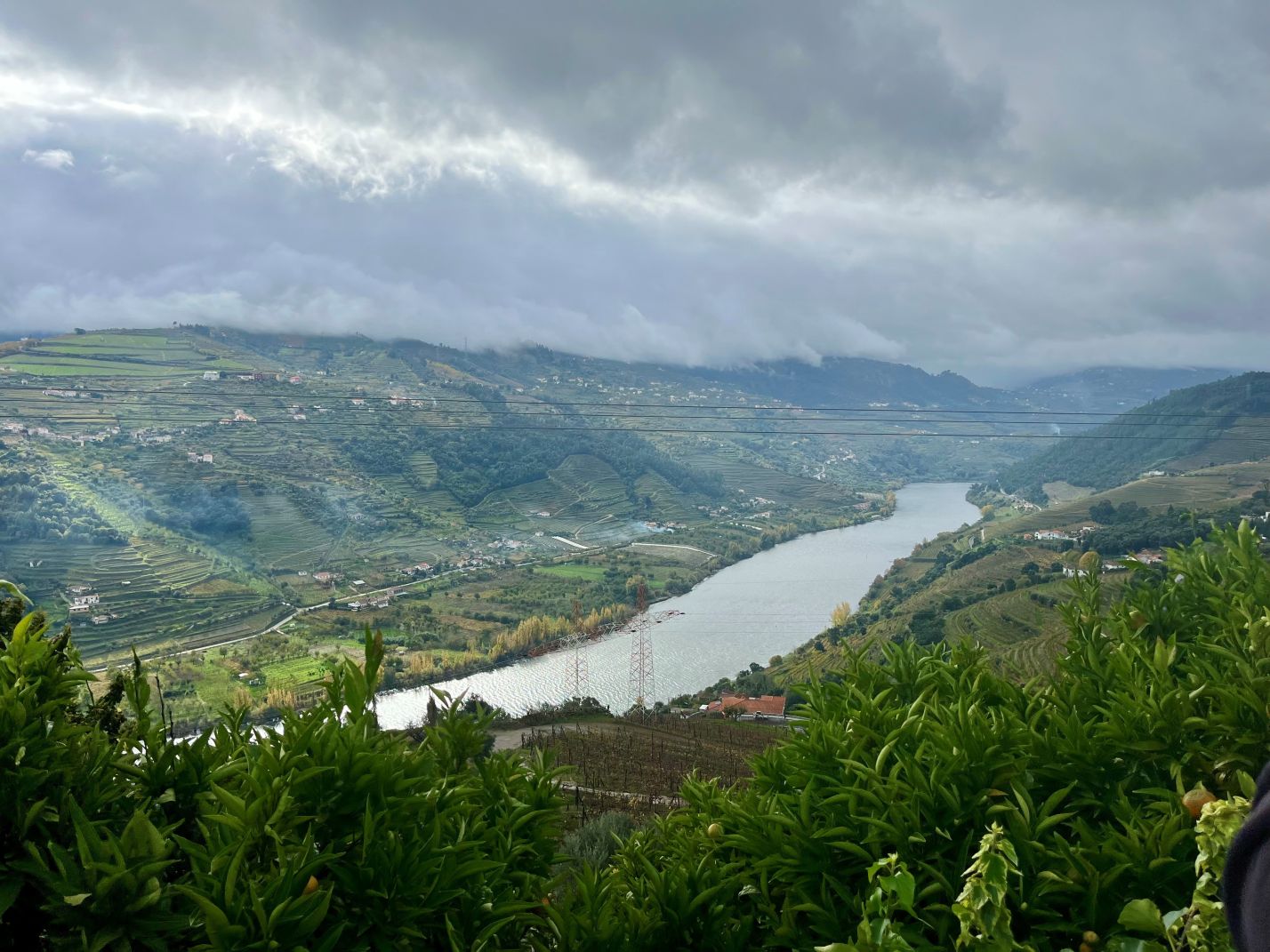douro mesao frio