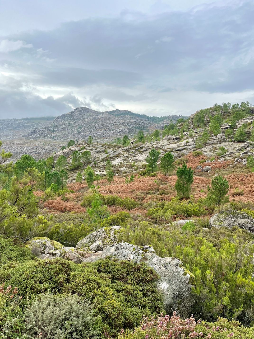 vila real hinterland
